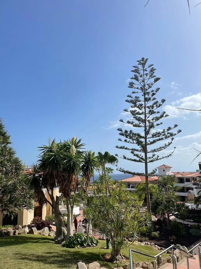 Paraiso Albatros, Beautiful Complex San Miguel de Abona Apartment