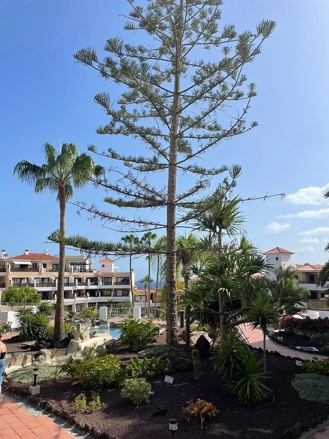 Paraiso Albatros, Beautiful Complex San Miguel de Abona