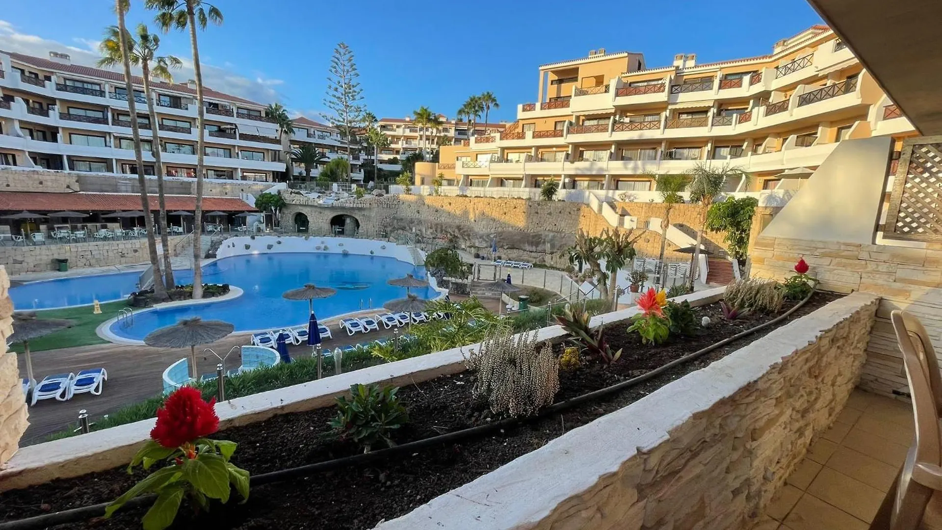 Apartment Paraiso Albatros, Beautiful Complex San Miguel de Abona